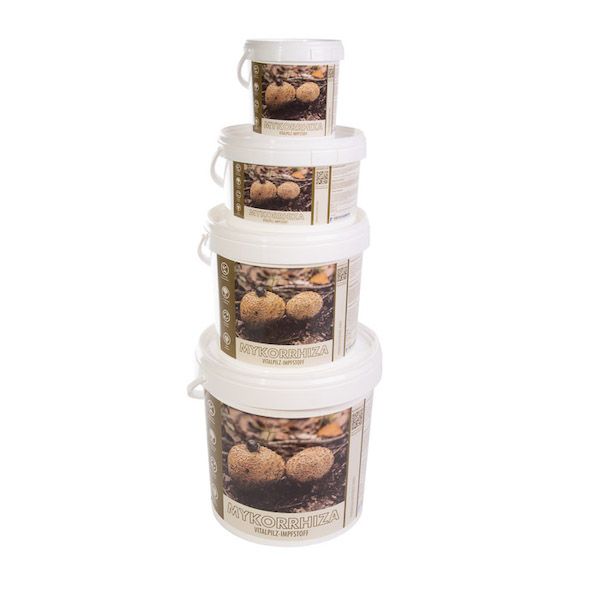 Endo-Mykorrhiza Impfstoff Rasen