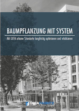 Baumpflanzung mit System