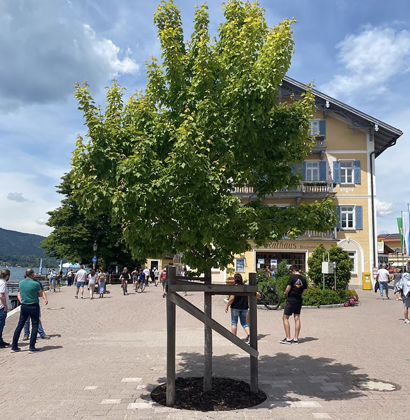 TreeParker® Bauvorhaben Tegernsee, Rathausplatz